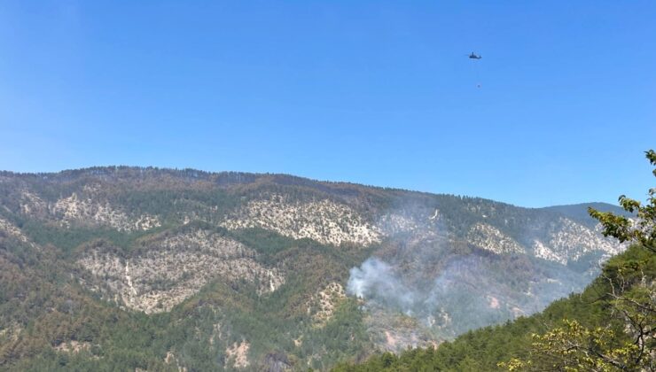 Cem Şahin “Yanan 88 Hektarlık Orman Alanı Ağaçlandırılıyor”