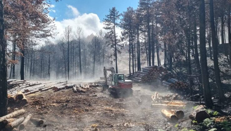 OVACIK’TA, YANAN ORMANLARIMIZ KÜLLERİNDEN DOĞACAK…
