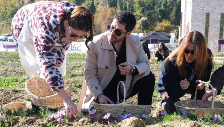 ÜNLÜ SANATÇILAR SAFRANOVA’YA HAYRAN KALDI…