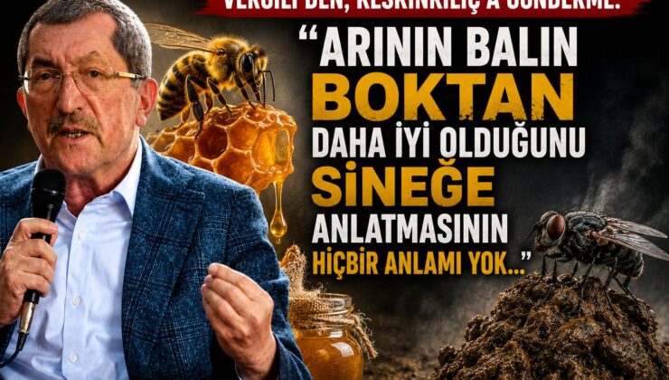 Vergili’den, Keskinkılıç’a Gönderme:”Arının Balın Boktan daha iyi olduğunu Sineğe anlatmasının  HİÇBİR ANLAMI YOK…
