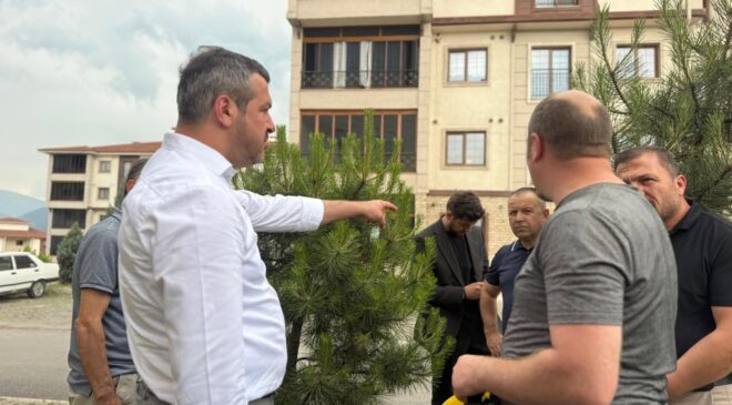 BAŞKAN ÇETİNKAYA BELEN TOKİ SAKİNLERİNE MÜJDEYİ VERDİBELEN TOKİYE TEMA PARK YAPILIYOR